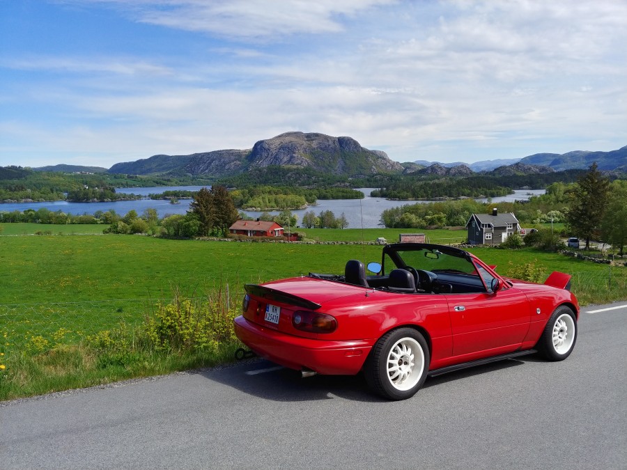 20190517_123920_HDR.jpg