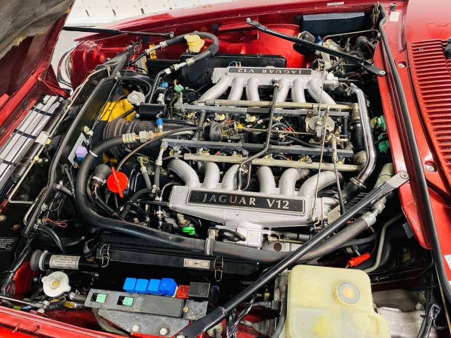 Mighty V12.jpg